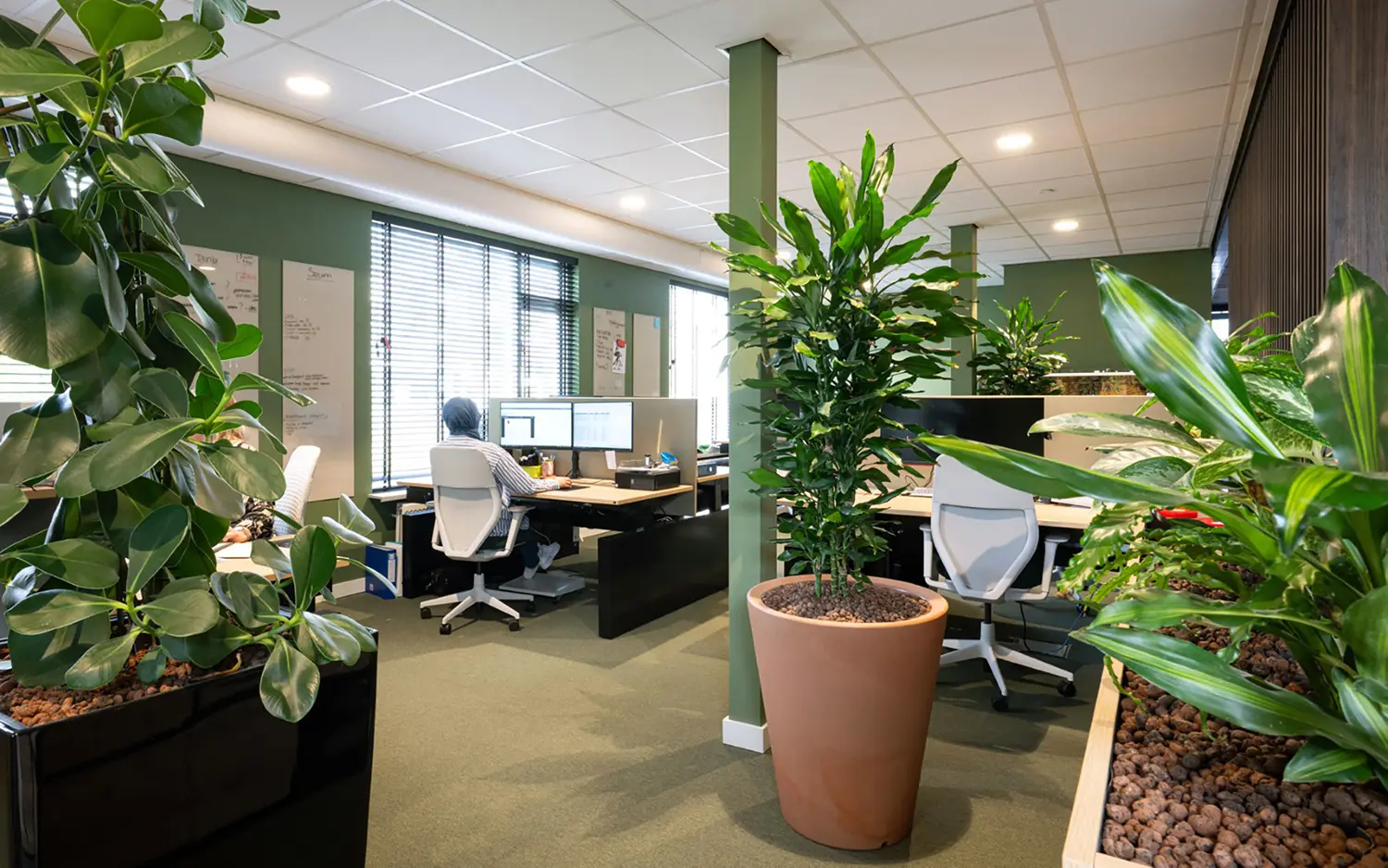 Onafhankelijk advies en hoogwaardige beplantingsoplossingen