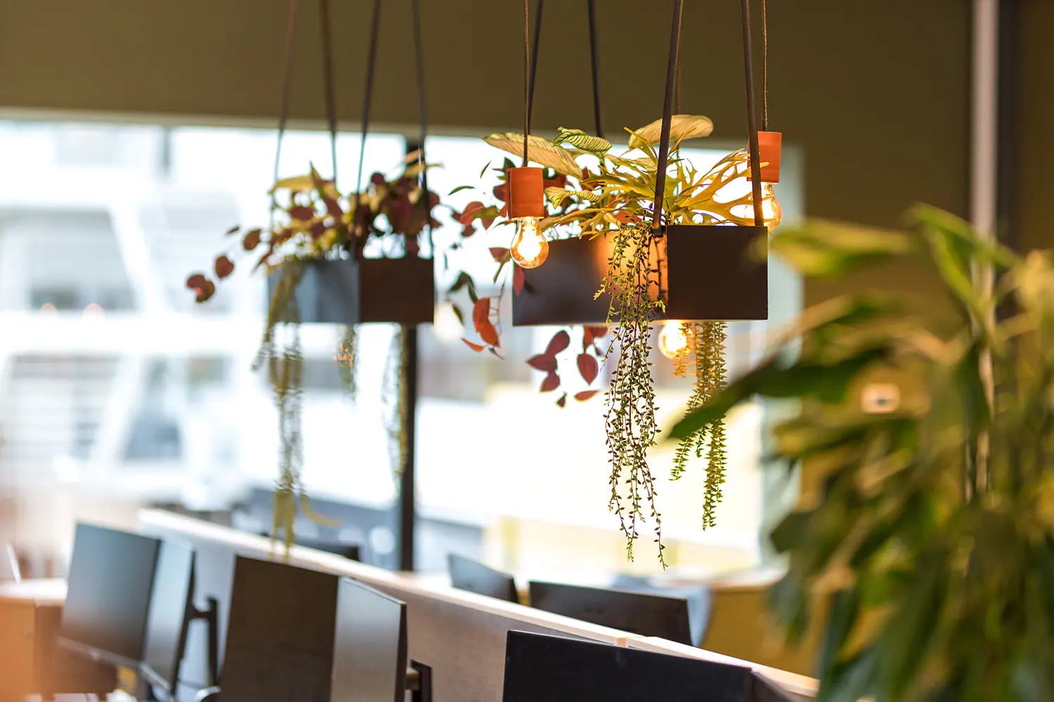 Volledige ontzorging door GZ